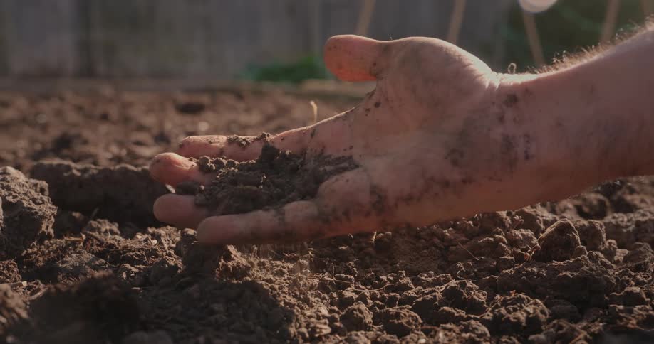 A man grabs a hand full of dirt and slowly drops it