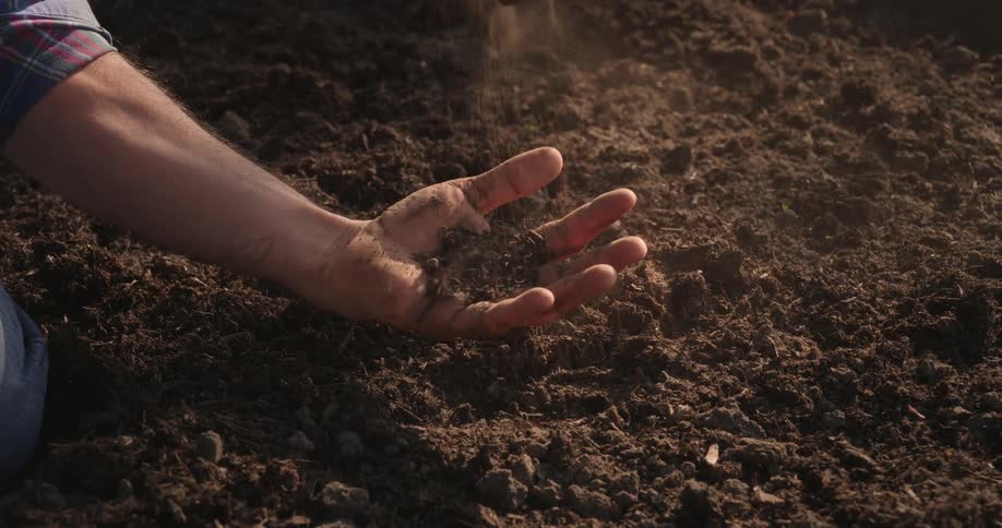 Dust from a soil being poured into a hand