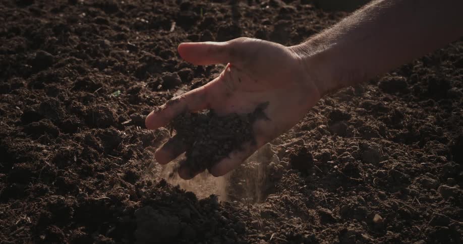 Man picking up soil then sifting it through his fingers