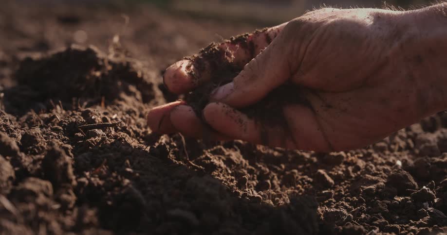A man holds soil from a garden bed in his right hand