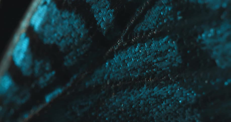 A colorful design is embroidered on the material