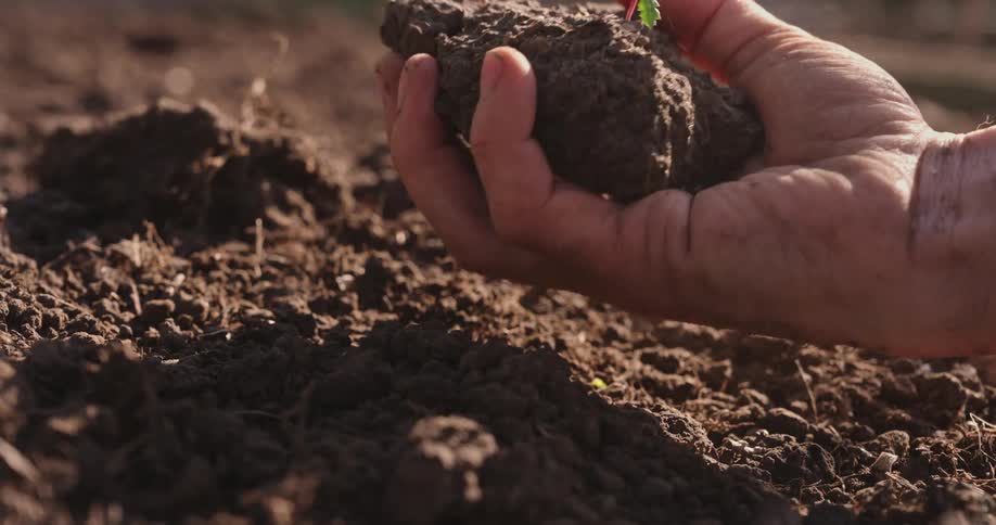 A hand reaches up and catches a crumbling clump of dirt from the ground as loose soil spills around it