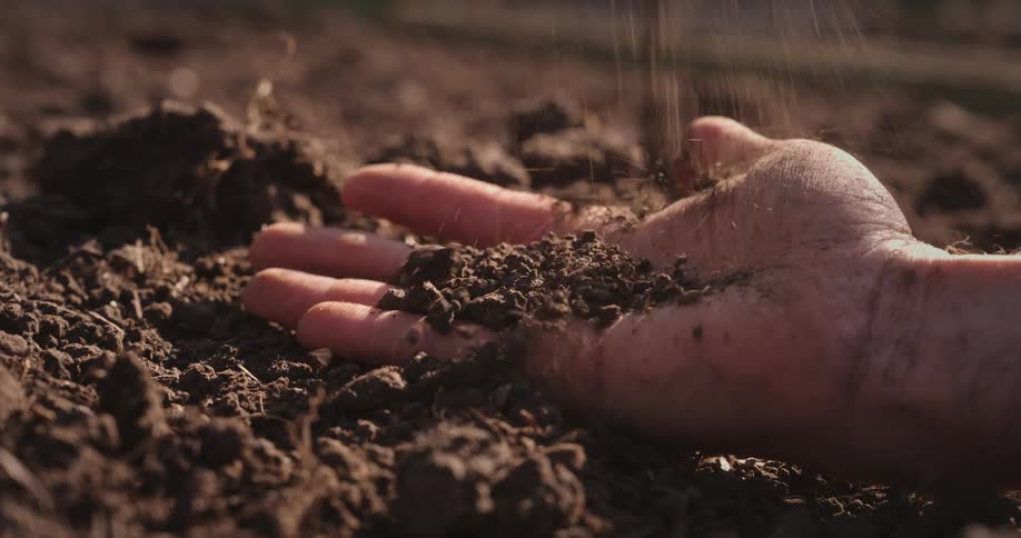 Sifted soil falling in palm of persons hand laying on dirt
