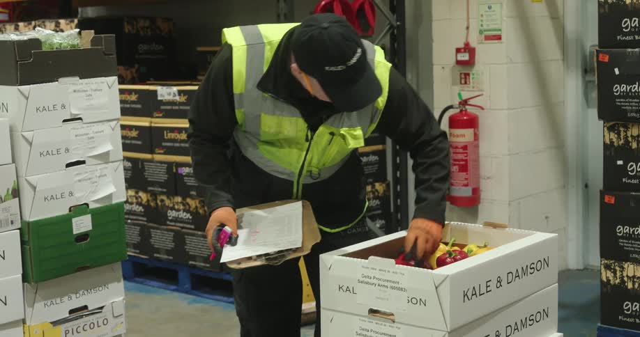 The worker sorts through the peppers in a box