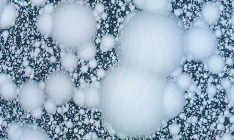 Several white bubbles of varying sizes float on a dark background in a scattered pattern