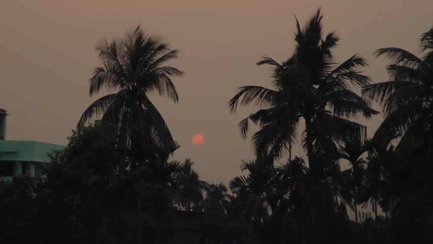 Tall palm trees are by the home