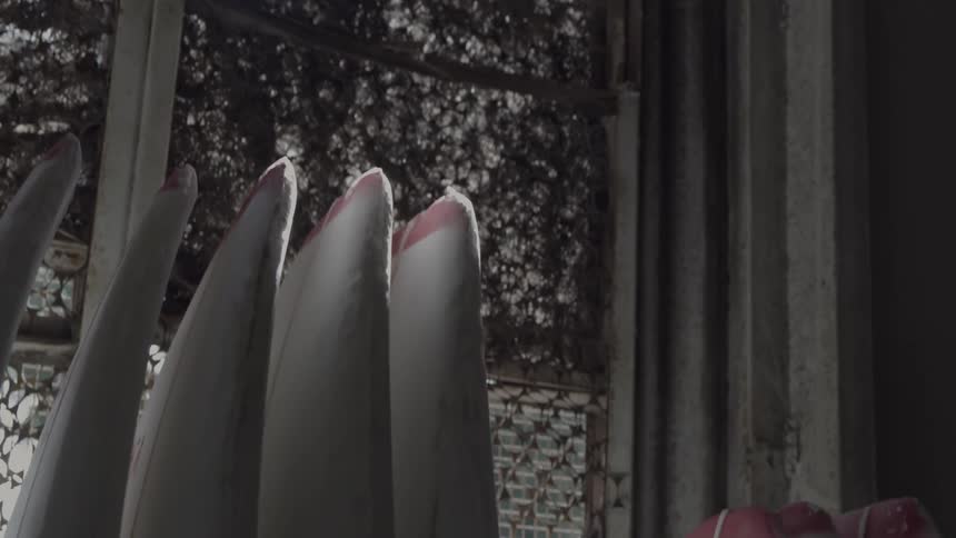 Surfboards lined up near a window