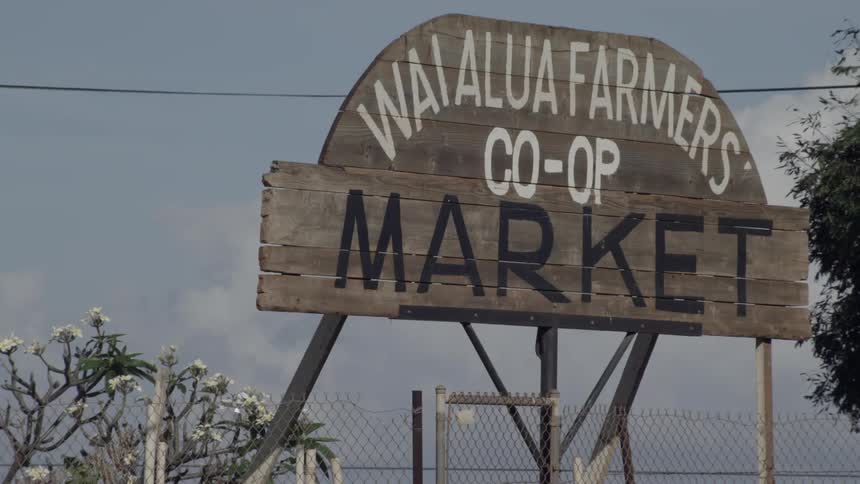 The wooden sign ahead has black and white lettering