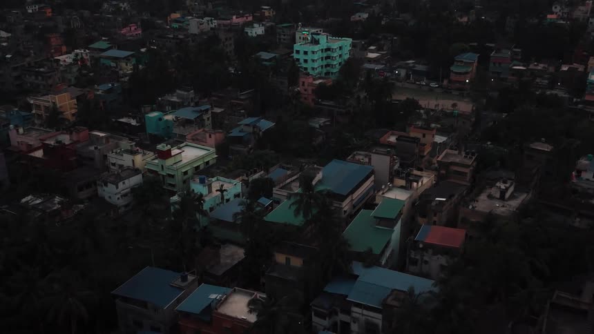 Aerial view of a suburb with tropical palm trees