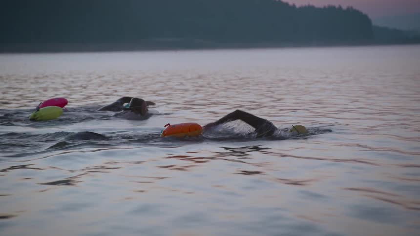 Three open water swimmers wearing swim caps and towing colorful safety buoys swim side by side in a calm lake at dawn