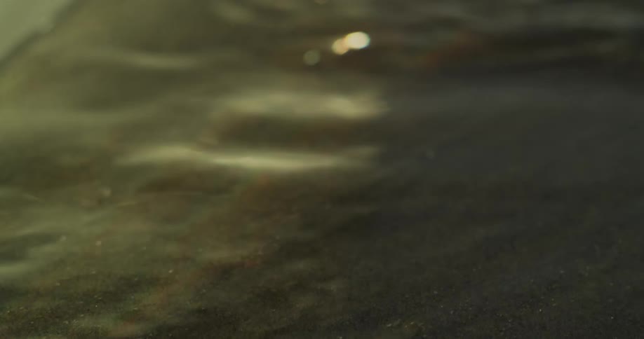Shimmering water flows gently across a dark sandy surface revealing subtle particles and delicate light reflections