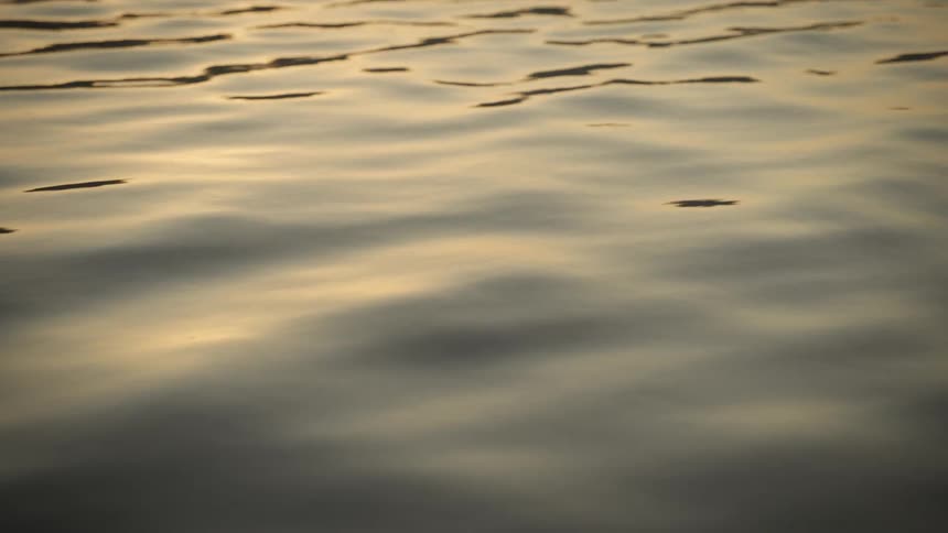 Water surface with small ripples reflecting golden light