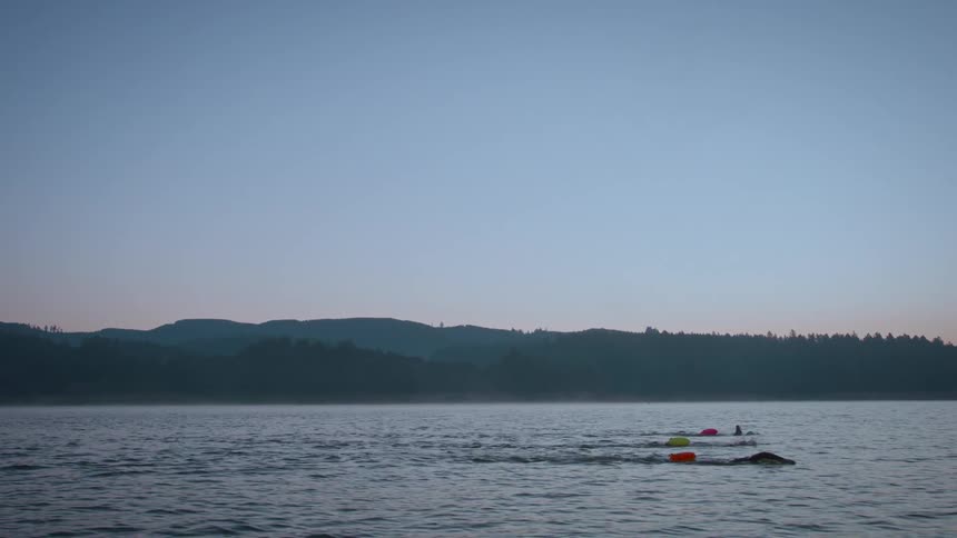 A group of people swim in a large water body at dusk