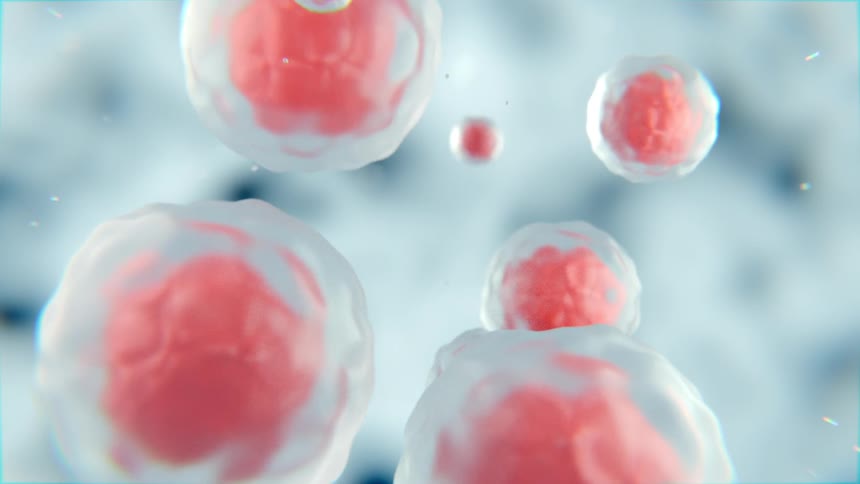 The cells are floating slowly together in the animation