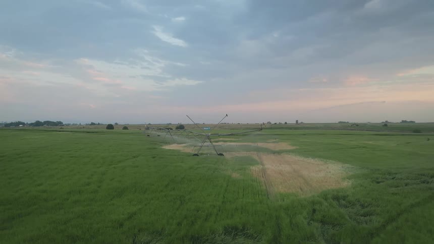Aerial view of a machine watering an agricultural field