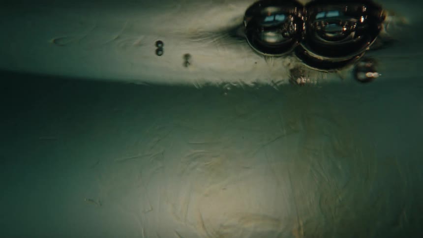 A dark substance swirls dramatically in clear water forming abstract organic shapes beneath the surface