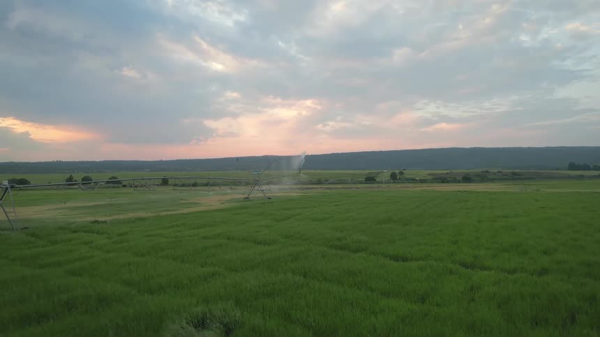 A pivot irrigation system waters a vast green field under a cloudy sunset sky with a distant tree line on the horizon