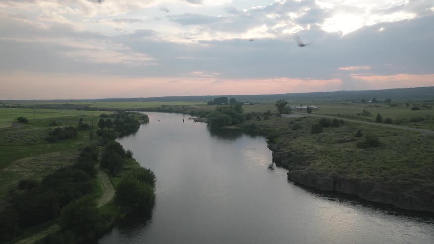 Aerial view of birds flying above a river surrounded by vegetation