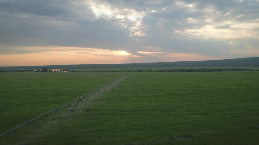 Aerial panorama of an active irrigation system on an agricultural field at dawn