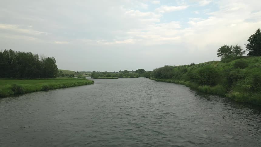 Scene of a river surrounded by vegetation