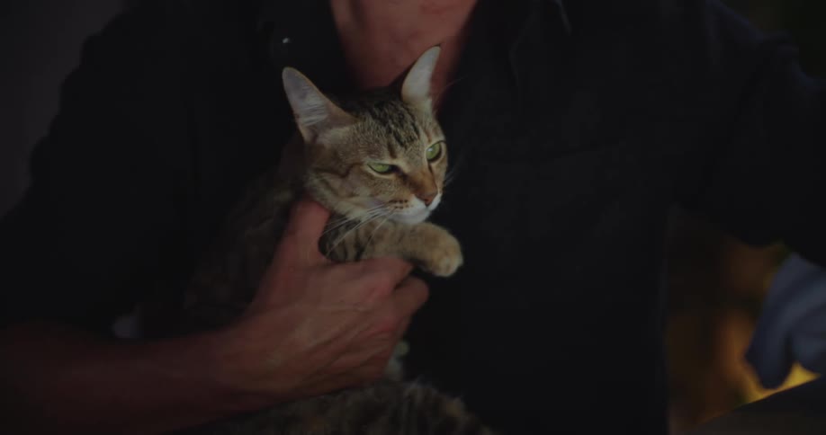 Man with glasses sitting holding a gray cat