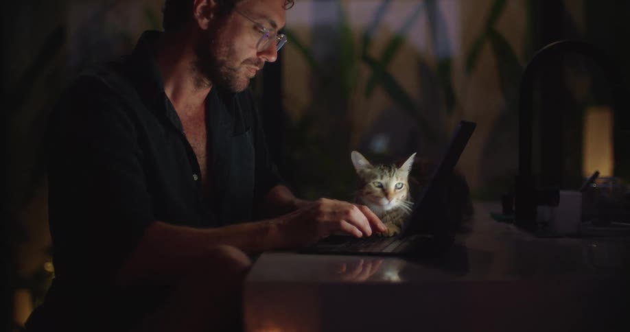 Man typing on a laptop and a cat next to him