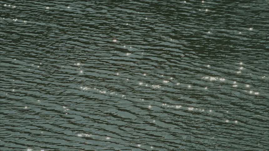 Sunlight dances on rippling water creating a dynamic pattern of shimmering reflections