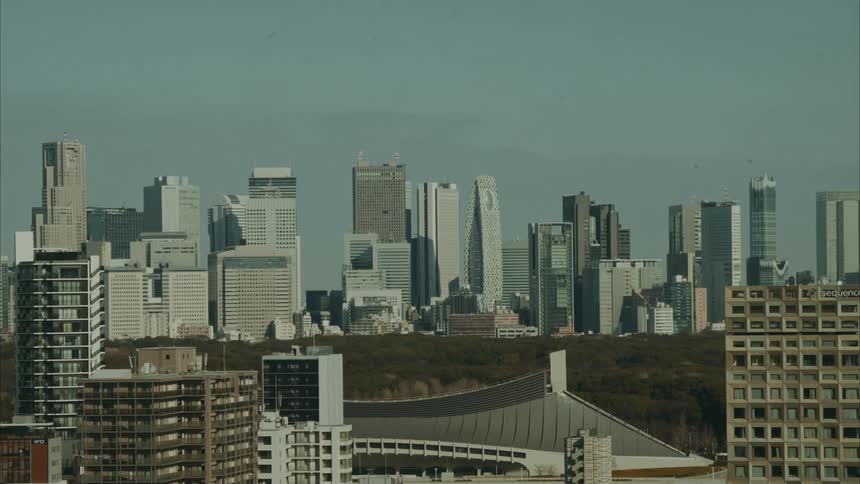 Panoramic view of a metropolis with modern skyscrapers
