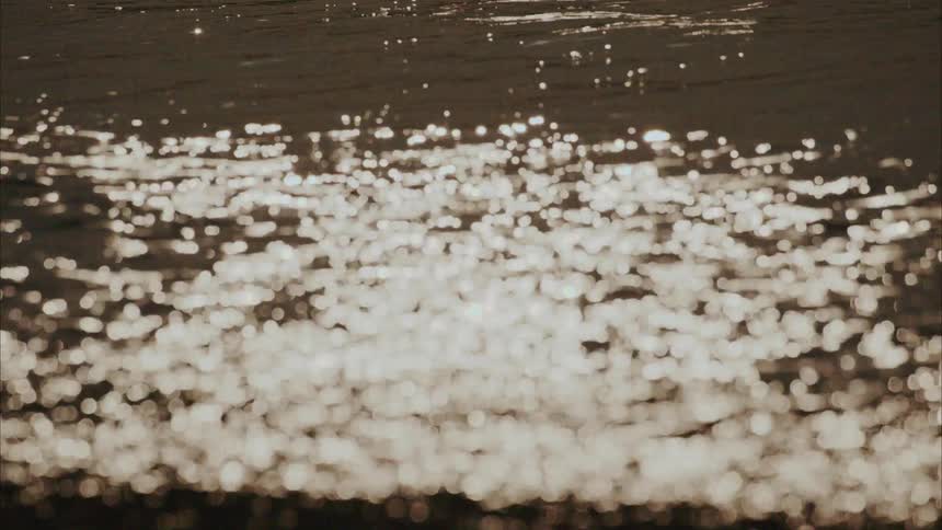 Small waves gently rippling across the surface of the water creating a shimmering effect