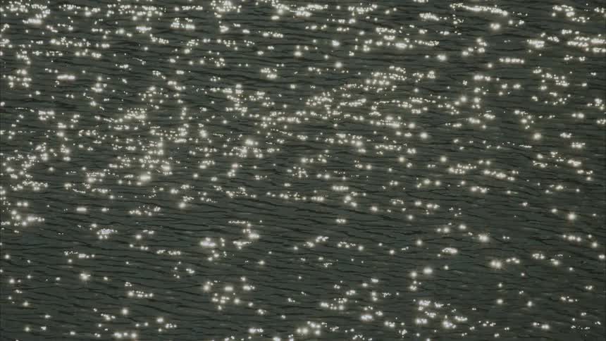 Sun glisening off the lake on a windy day