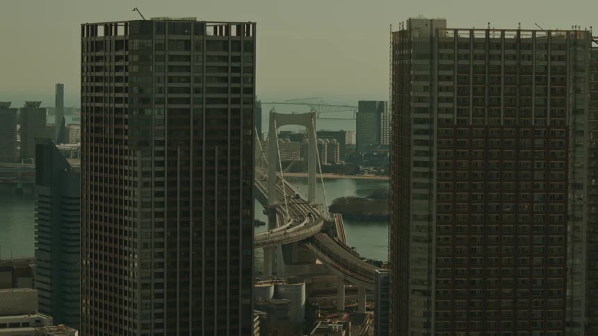 Panorama of a metropolis with a bridge in the background over the sea with vehicle traffic