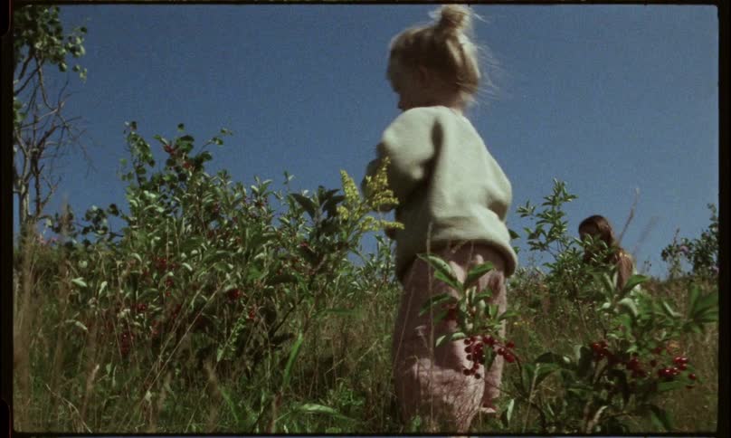 A young girl in a sweater walks through tall grass and berry bushes with her mother in the background under a clear blue sky