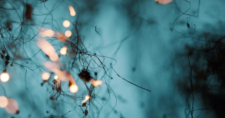 Tangled plant tendrils silhouette against a blue glow with warm lights and distant fire