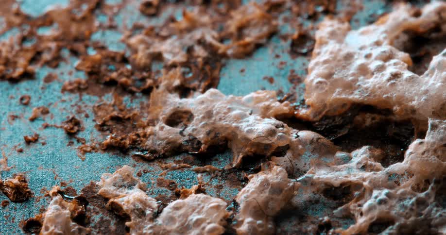 A macro shot of moldy decomposing organic matter with foamy fungal growth on a textured blue surface