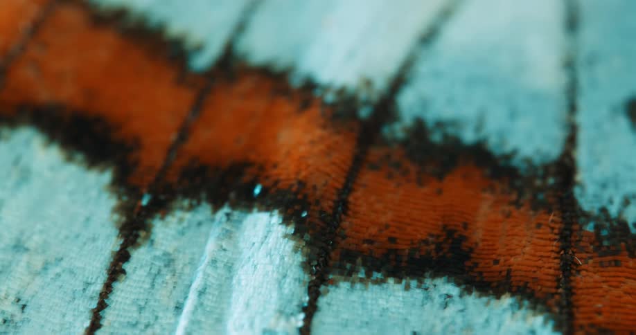 Closeup of an abstract surface with a strip in shades of orange and black