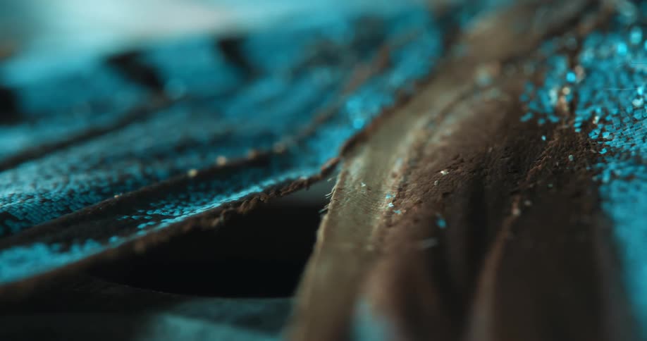 An extreme closeup of a butterfly wing shows shimmering blue scales and fine textures in rich detail