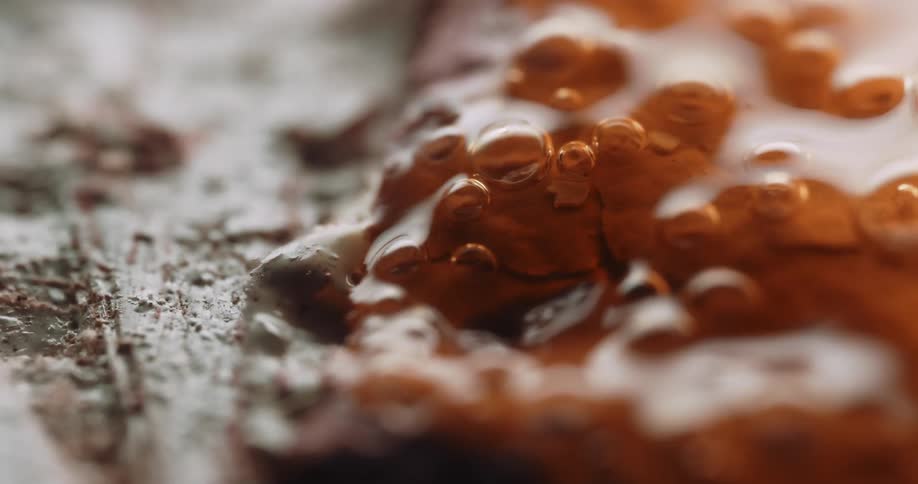 Molten amber liquid bubbles and oozes across a textured surface in an extreme macro shot