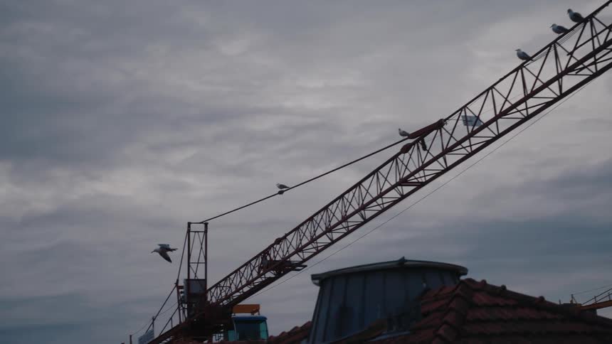 A bird flew off from a crane where several other birds were perched on a cloudy evening