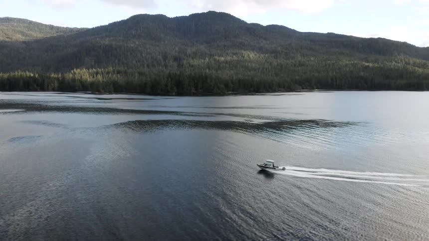 A boat travels quickly on a mountain lake on a summer day