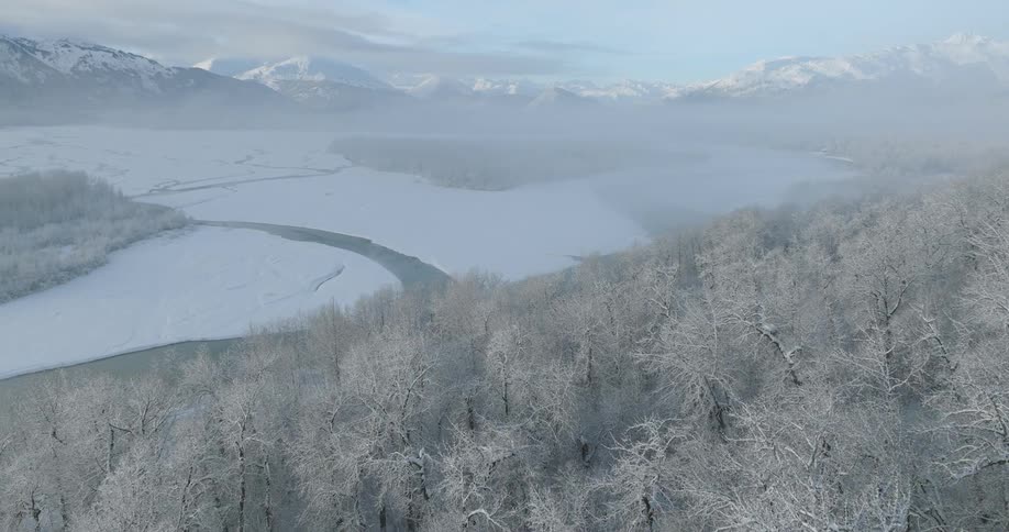 Aerial shot of a forest on the edge of a frozen lake with mountains in the background
