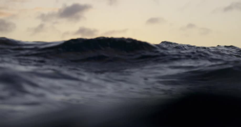 The rough waves move up and down in the ocean
