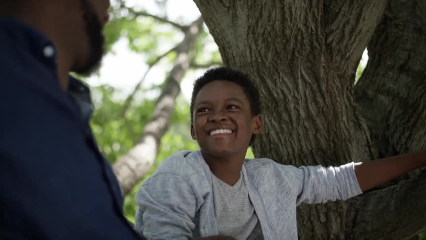 A man and a boy are sitting in a tree laughing and interacting during daylight