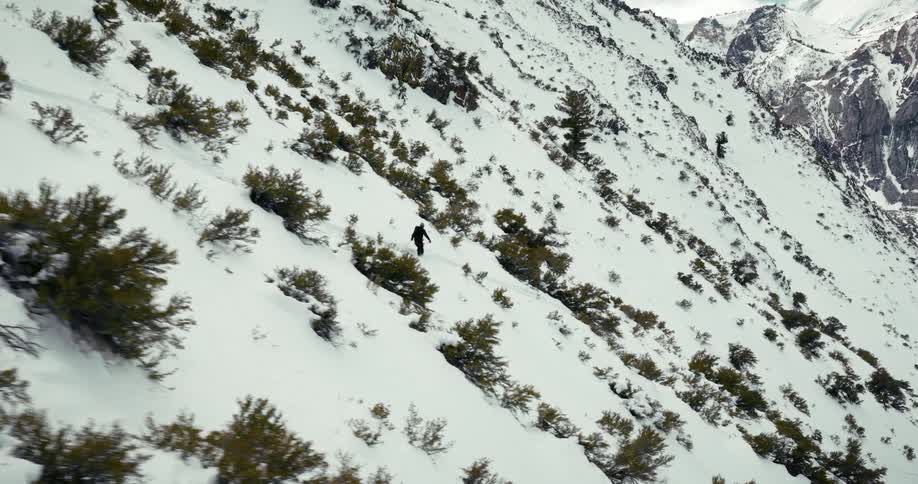 Person skiing on a snowcovered mountain with sparse vegetation