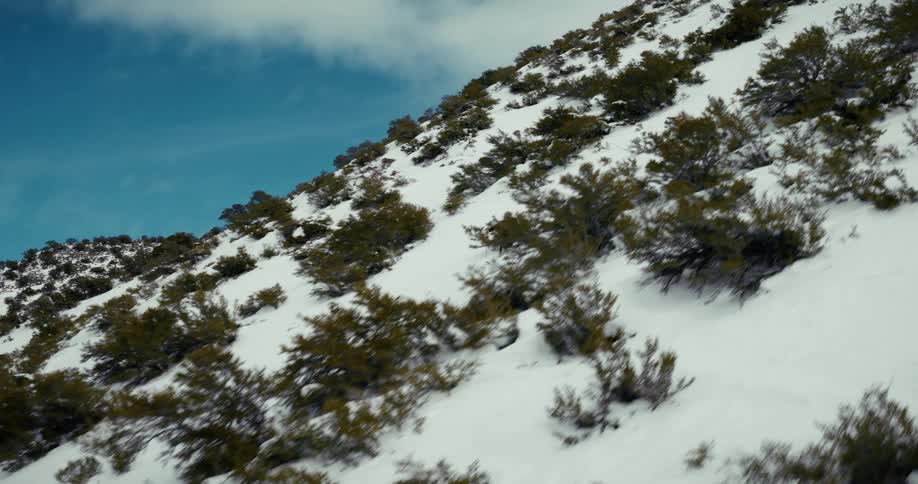 Person skiing down a snowy mountain