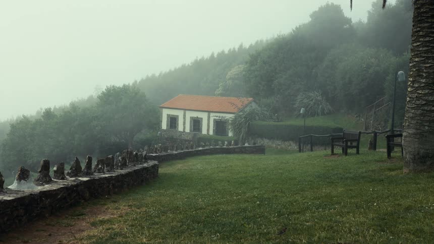 Natural environment with grass and a rural house in the background next to a dense forest with fog