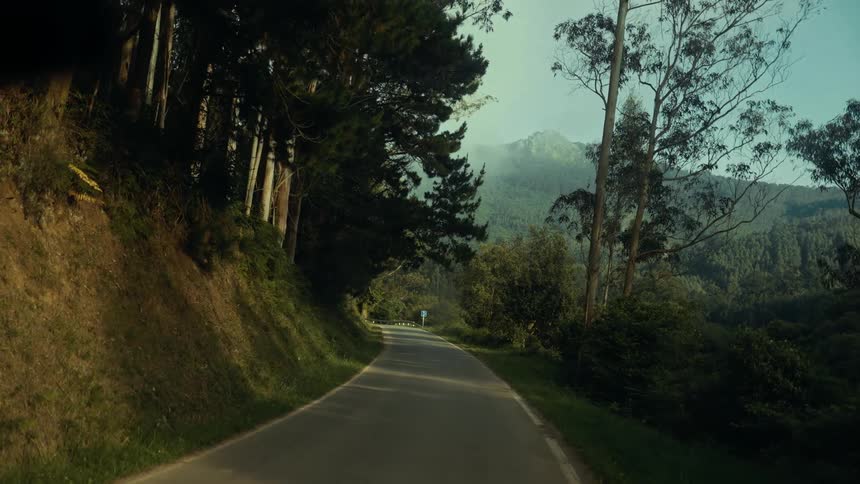 Narrow asphalt road surrounded by trees with mountains in the background