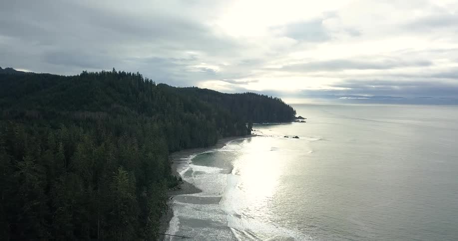 An aerial view of a rugged coastal landscape with waves gently rolling onto a forested shoreline under a cloudy sky
