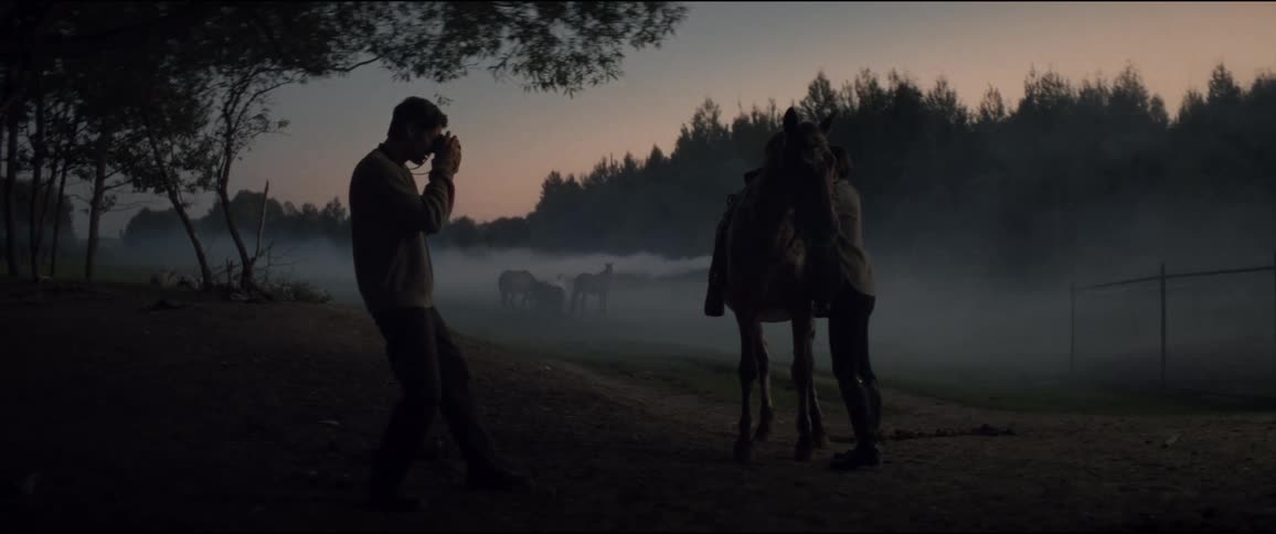 Man takes a picture of his friend and a horse before attempting to mount the animal on a foggy day