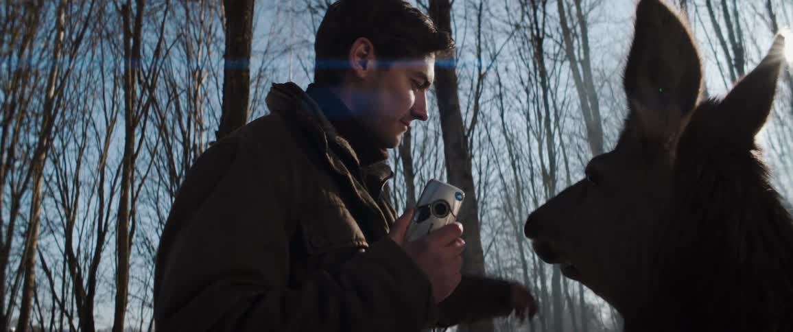 A man in a snowy forest holds a camera while calmly interacting with a large darkfurred animal likely a moose or elk