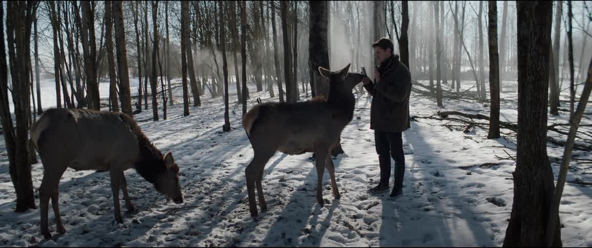 Man in a snowy forest taking pictures of deer
